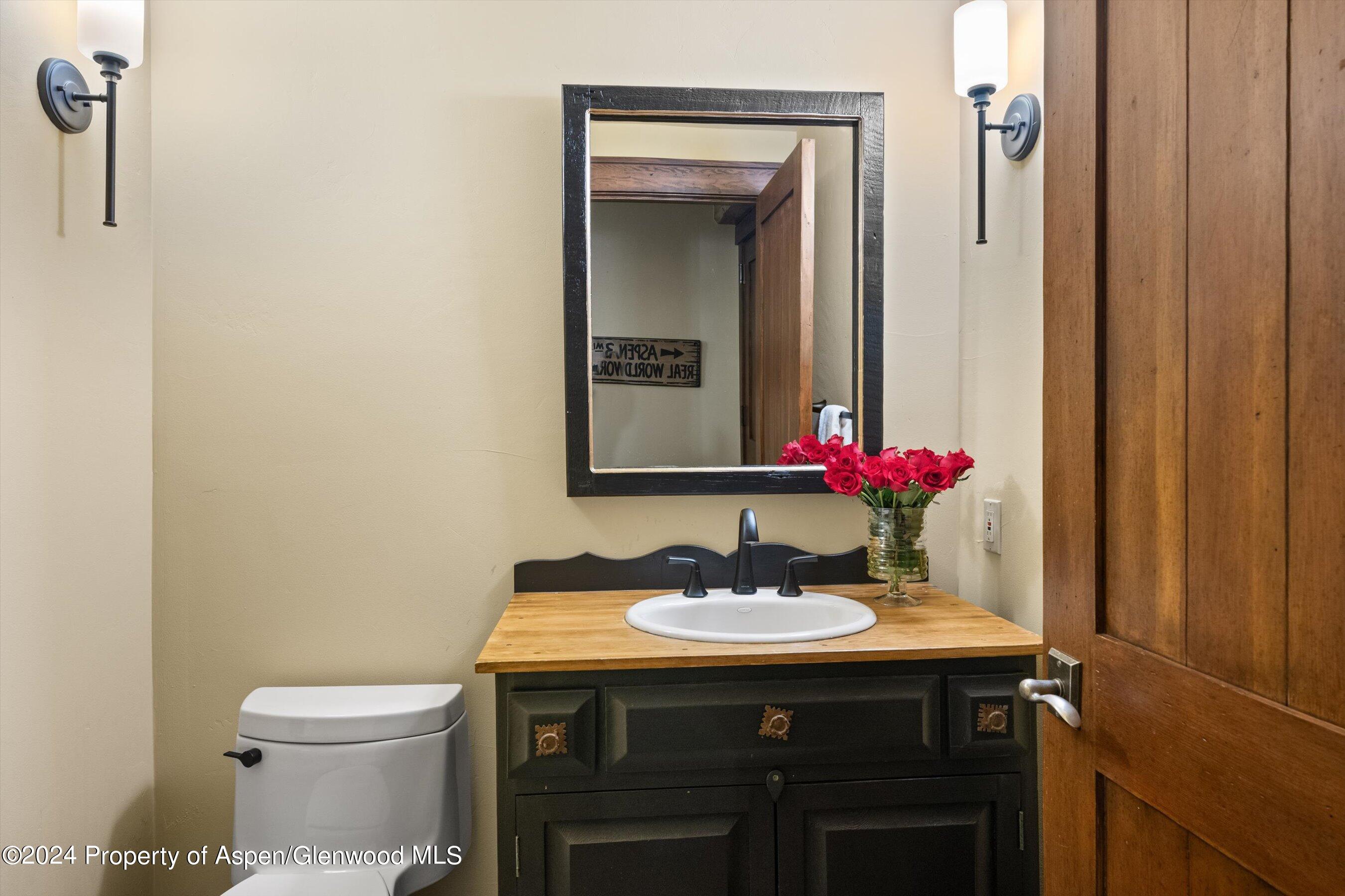 1021 Two Creeks Drive Snowmass Village, CO 81615 - Photo 39 of 47 a bathroom with a sink vanity and a toilet