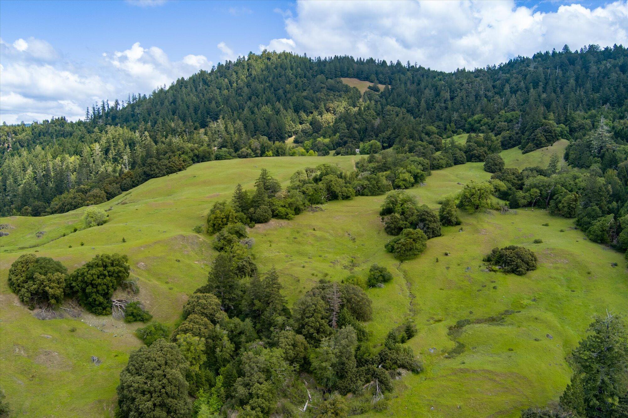 0 Reed Mountain Road Garberville, CA 95542 - Photo 13 of 19