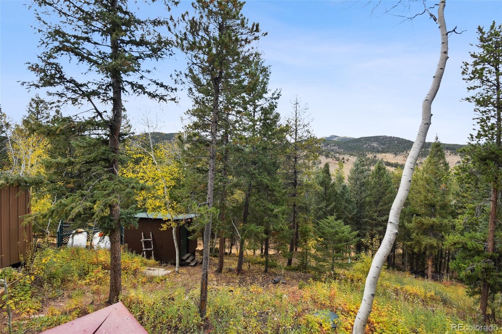 7952 Kunst Road Golden, CO 80403 - Photo 49 of 50