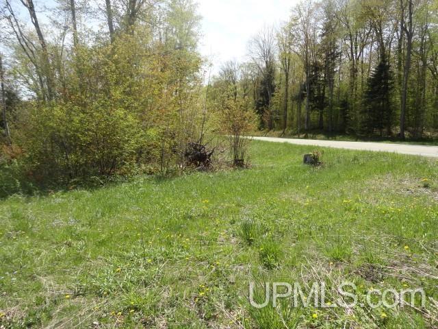 Tbd Autrain Forest Lake Road Au Train, MI 49806 - Photo 3 of 12