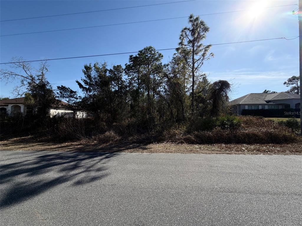 0 Godwit Avenue Weeki Wachee, FL 34613 - Photo 3 of 4