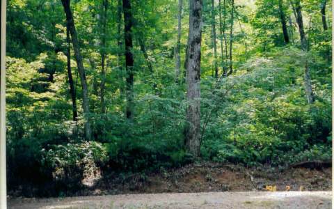 Laurel Mountain Road Brasstown, NC 28902 - Photo 1 of 1 Main View