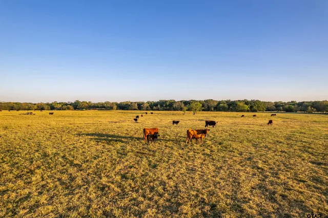 a view of a ocean with houses