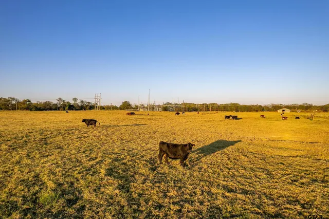 a view of an ocean and beach