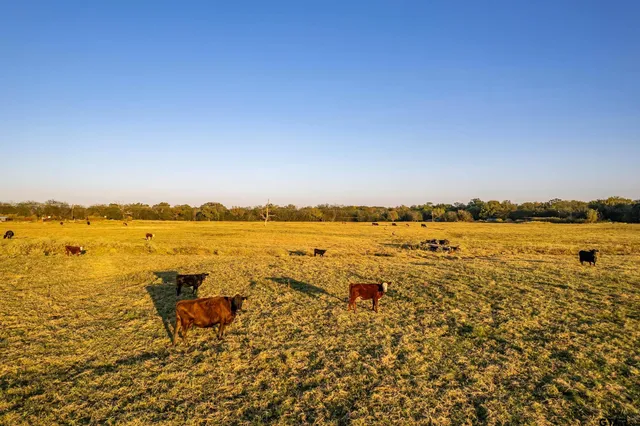 a view of a lake view