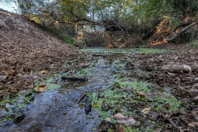 a view of outdoor space and trees