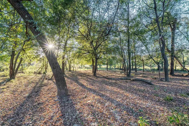 a view of outdoor space with lots of trees
