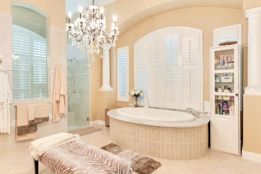 13448 Bellaria Circle Windermere, FL 34786 - Photo 25 of 66