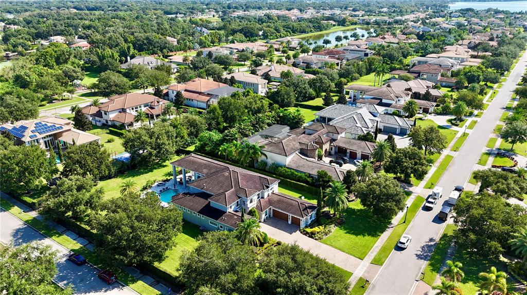 13448 Bellaria Circle Windermere, FL 34786 - Photo 60 of 66 an aerial view of residential houses with outdoor space and trees