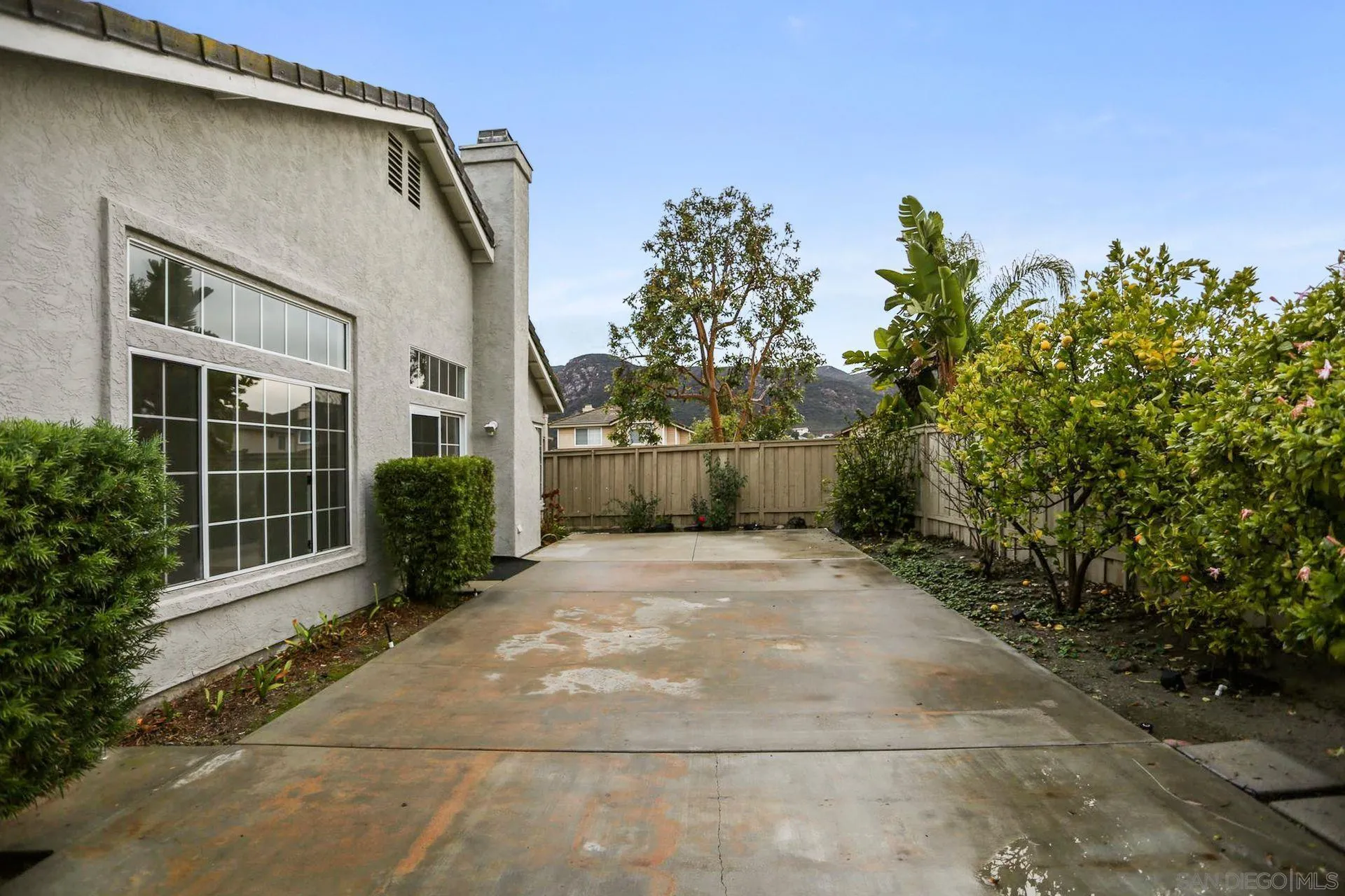 8472 Mesa Heights Road Santee, CA 92071 - Photo 29 of 34 a view of backyard with plants and trees