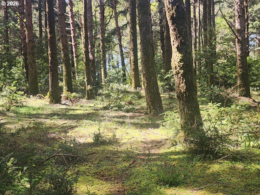 Cemetery Loop Road, Unit 2200 Port Orford, OR 97465 - Photo 2 of 8