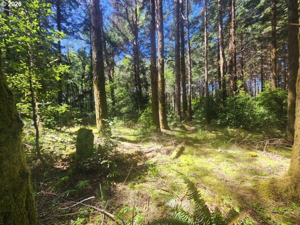 Cemetery Loop Road, Unit 2200 Port Orford, OR 97465 - Photo 3 of 8