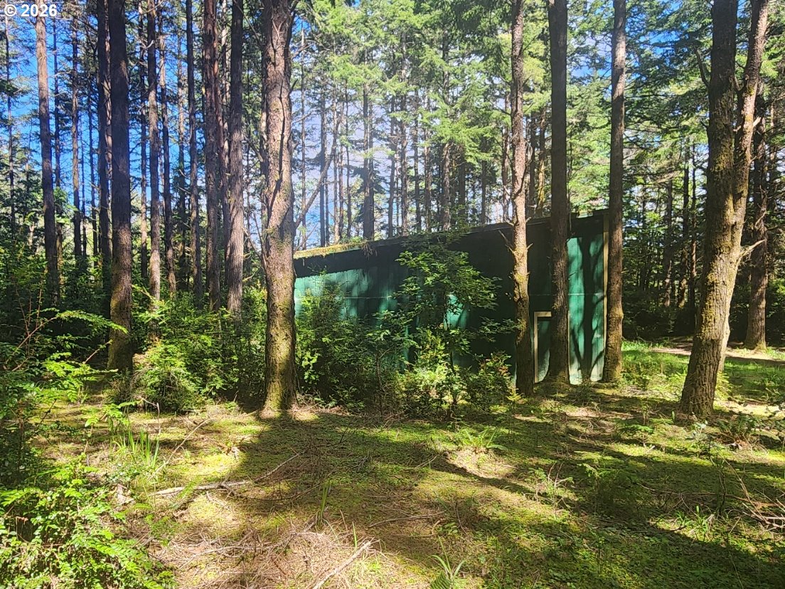 Cemetery Loop Road, Unit 2200 Port Orford, OR 97465 - Photo 4 of 8