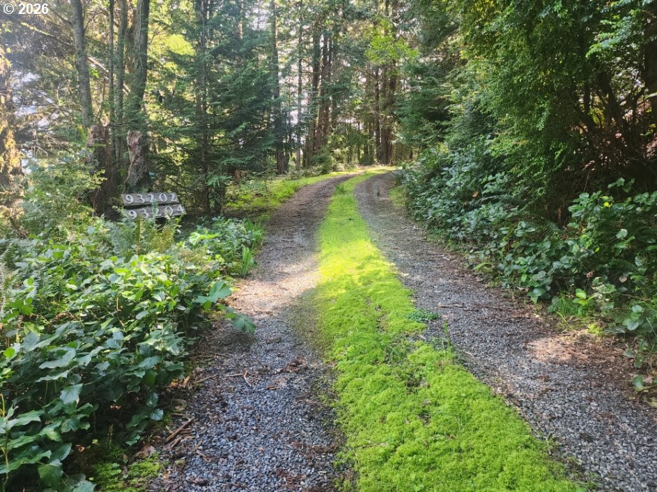 Cemetery Loop Road, Unit 2200 Port Orford, OR 97465 - Photo 7 of 8