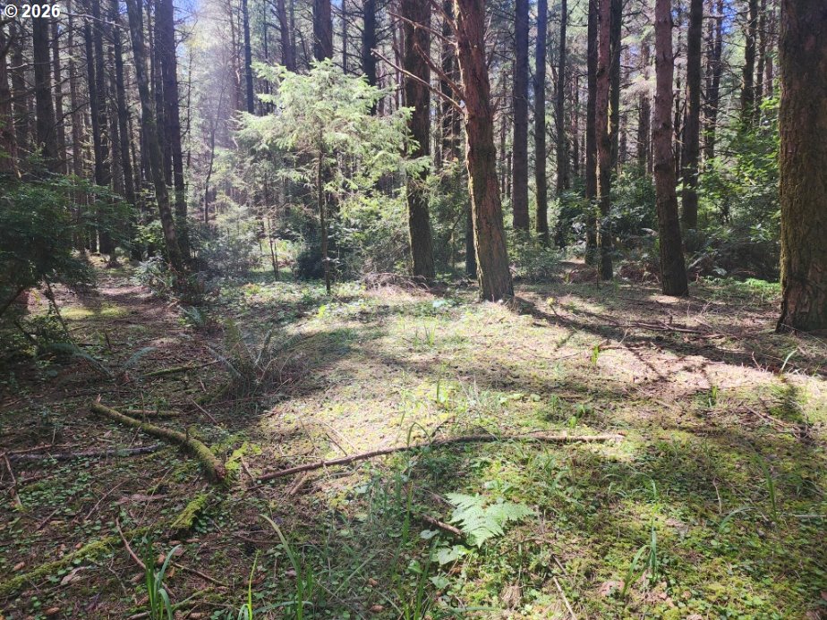 Cemetery Loop Road, Unit 2200 Port Orford, OR 97465 - Photo 8 of 8