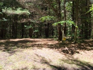 6872 Kipp Road Prattsburgh, NY 14873 - Photo 1 of 1