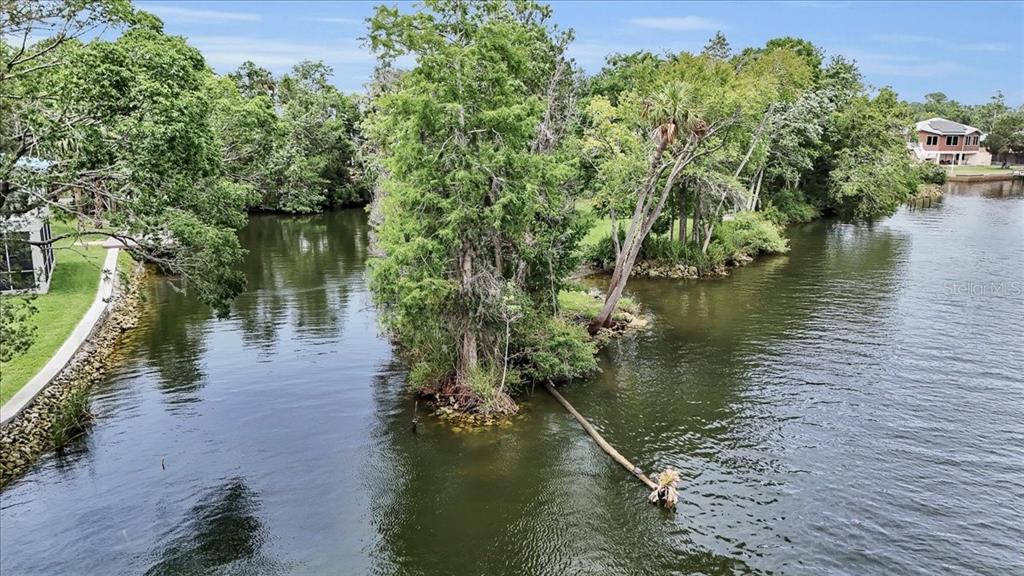 35 Magnolia Avenue Yankeetown, FL 34498 - Photo 64 of 75