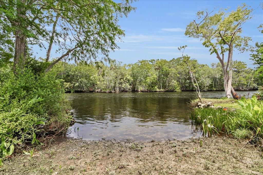 35 Magnolia Avenue Yankeetown, FL 34498 - Photo 7 of 75 a view of lake
