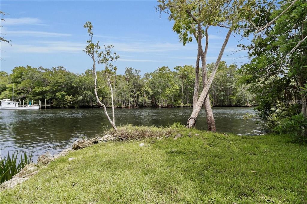 35 Magnolia Avenue Yankeetown, FL 34498 - Photo 8 of 75 a view of a lake with a house in the background