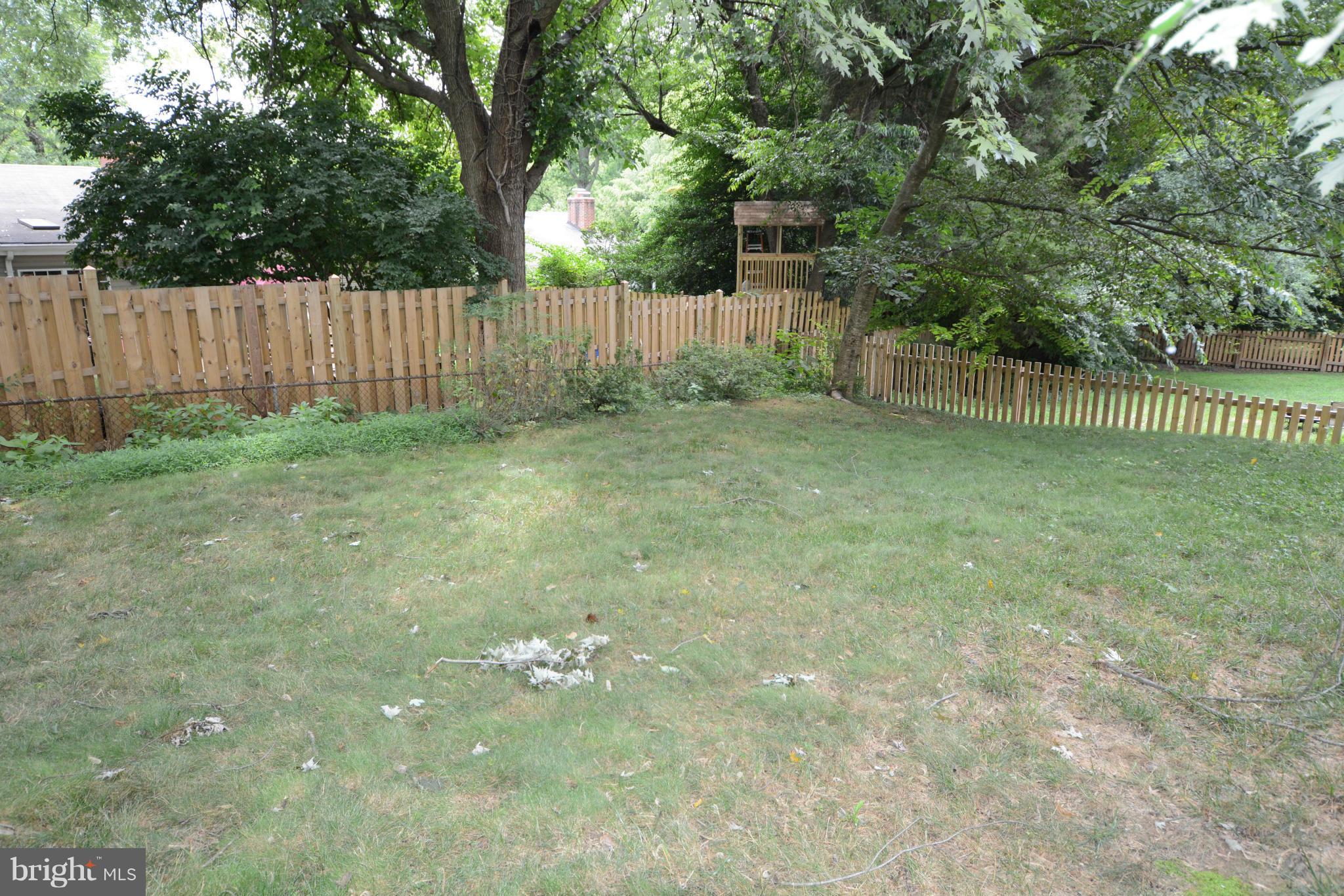 8605 Springdell Place Chevy Chase, MD 20815 - Photo 11 of 15 a view of a backyard