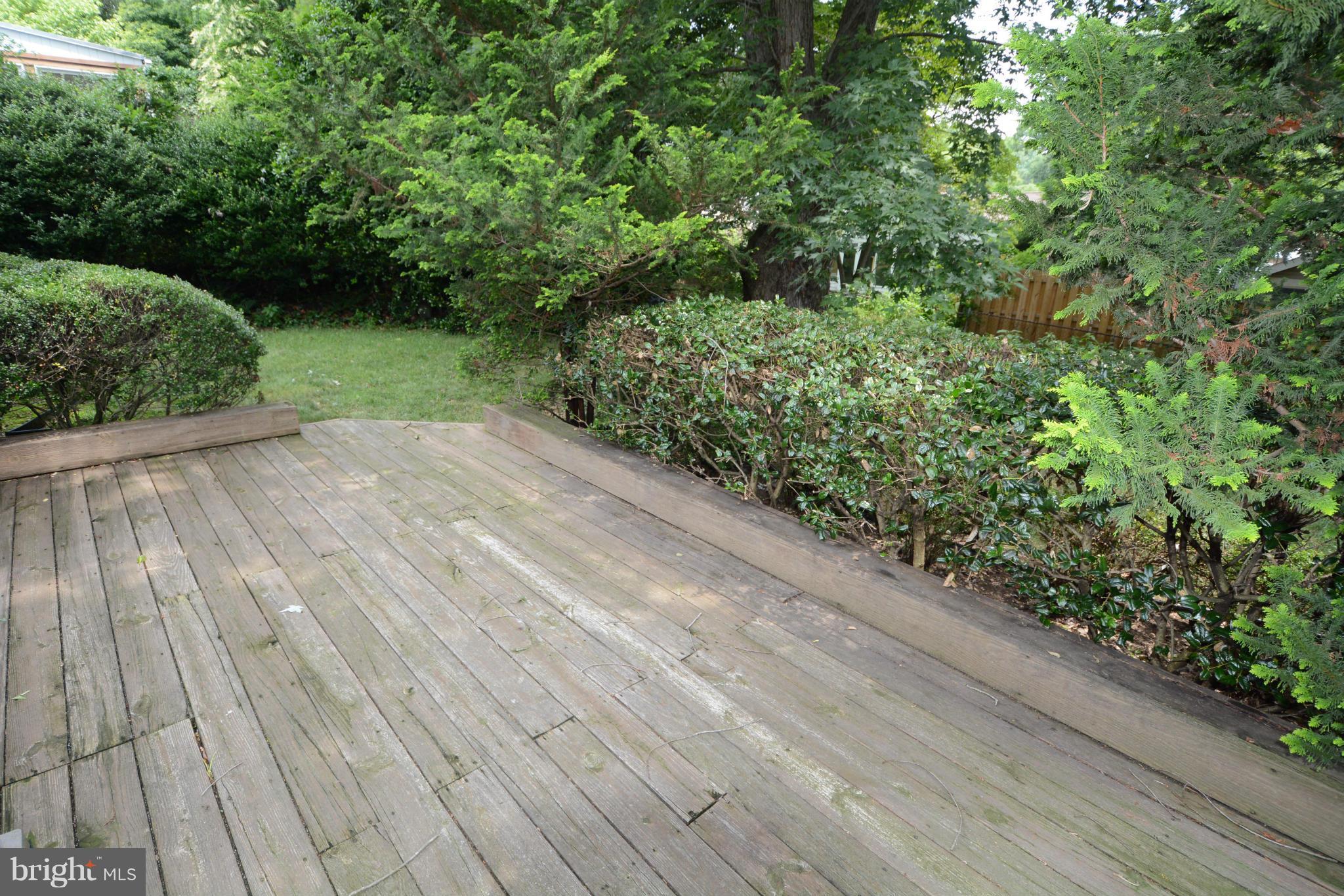 8605 Springdell Place Chevy Chase, MD 20815 - Photo 14 of 15 a view of a backyard of the house