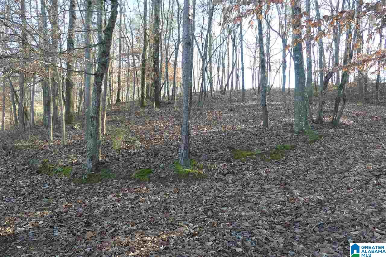Lot 1 A Red Barn Road, Unit 1A Wedowee, AL 36278 - Photo 3 of 8