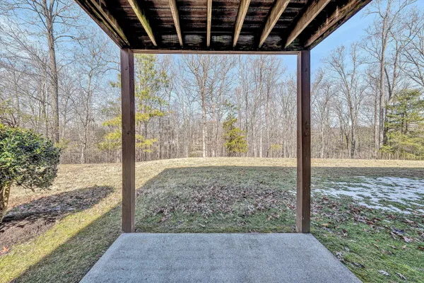 a house view with a backyard space