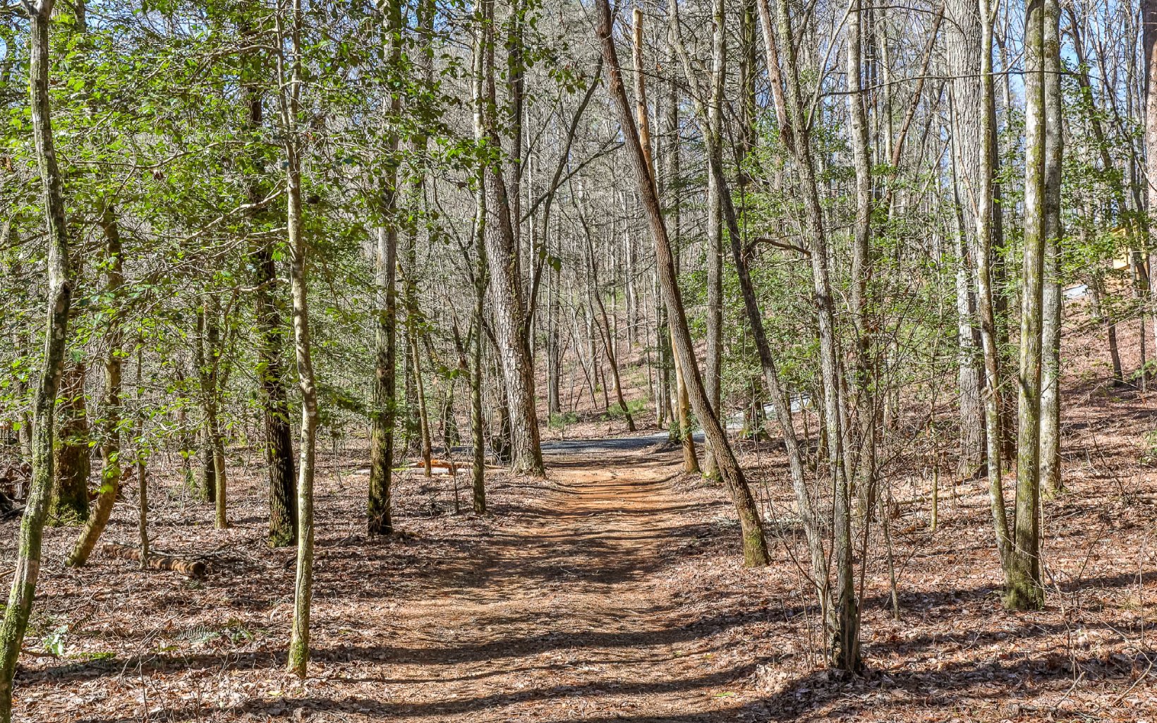627 Walker Ridge Ellijay, GA 30540 - Photo 8 of 57 Additional View