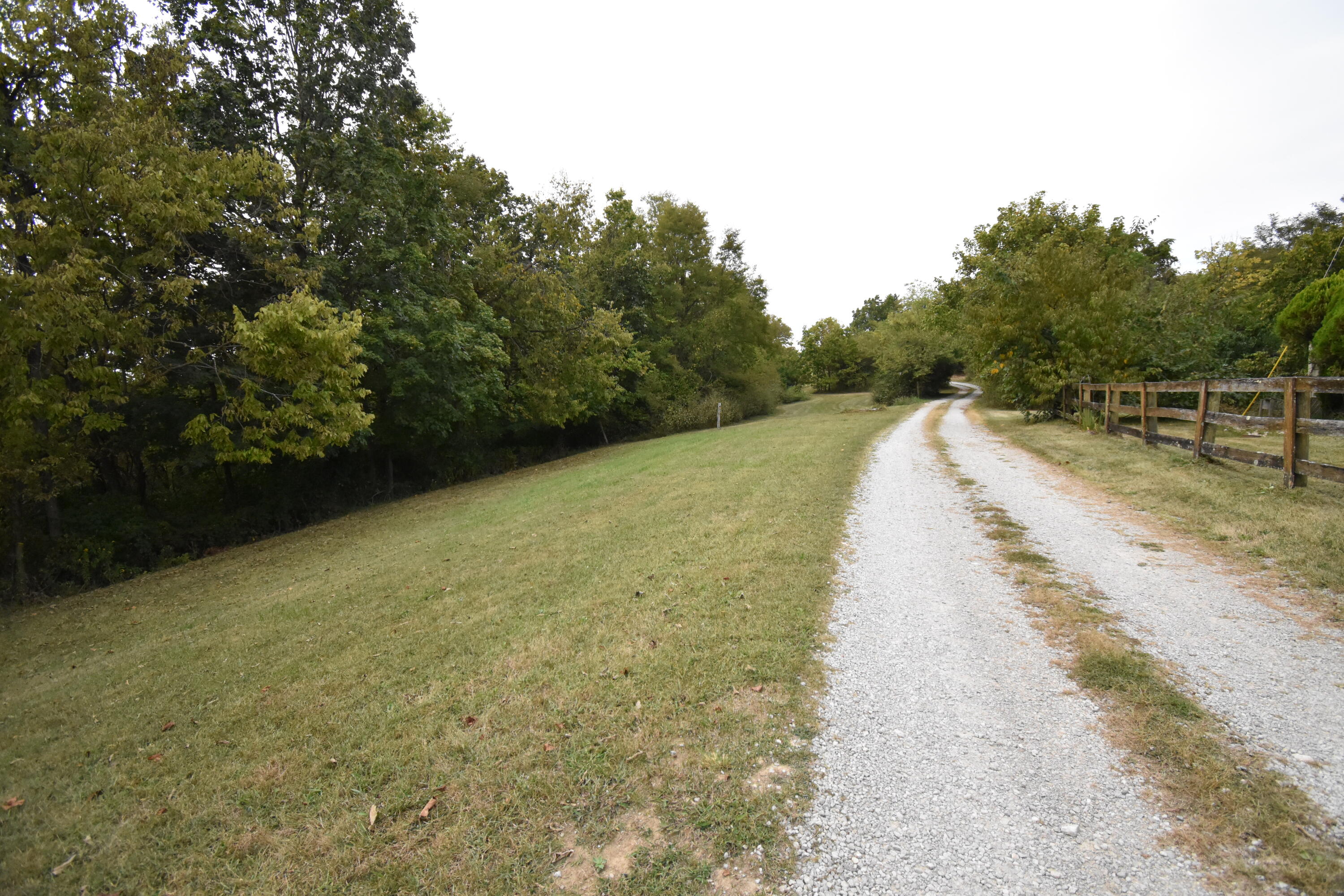 577 Whitlock Road Richmond, KY 40475 - Photo 7 of 29 DSC_0020