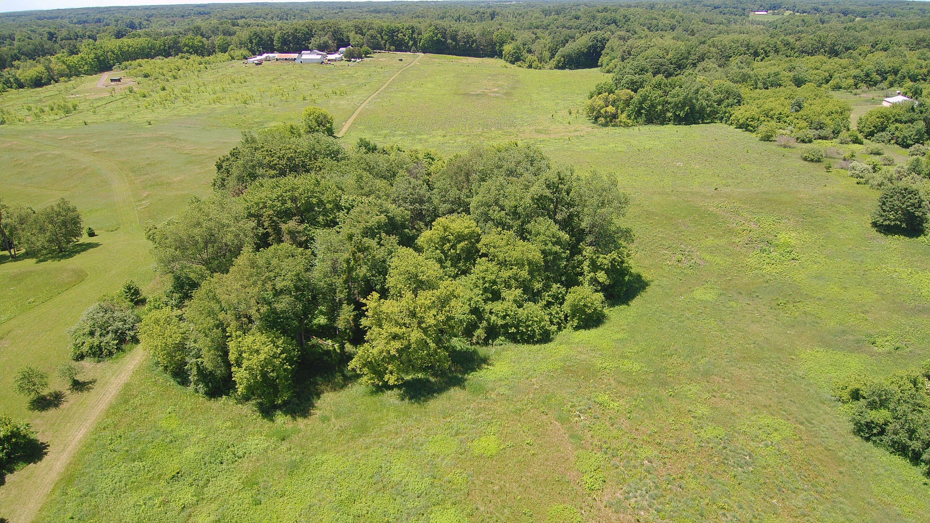 Cassidy Road Bellevue, MI 49021 - Photo 9 of 13 YUN00117