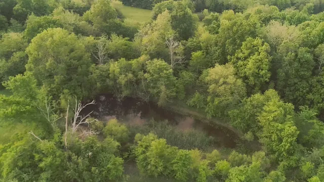 $1,150,000 | 775 Railroad Avenue, Wartrace, TN 37183