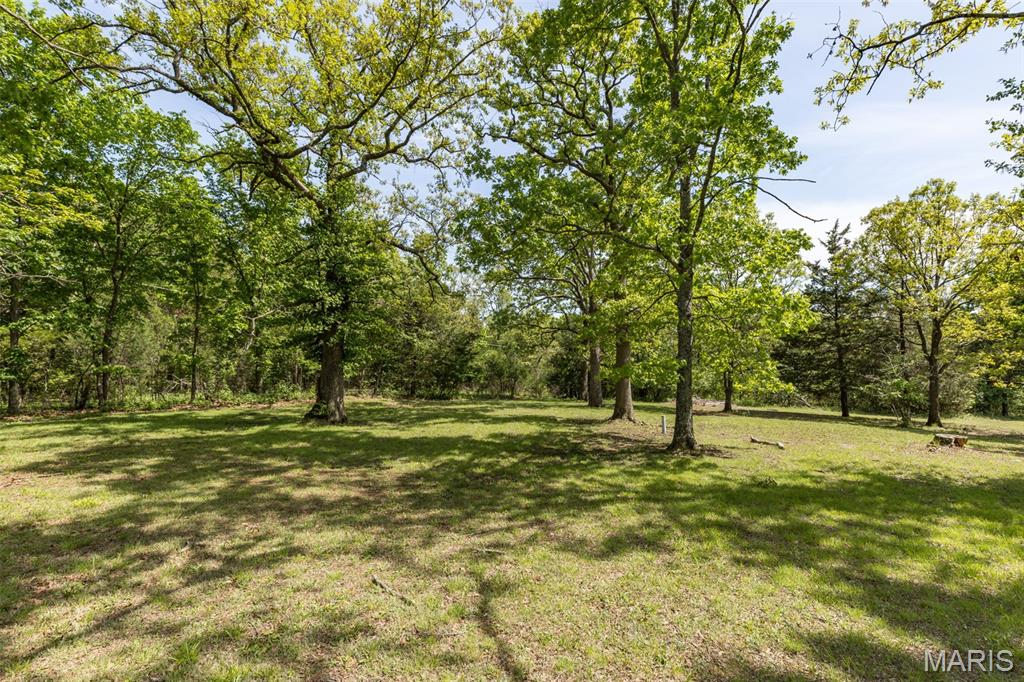 842 Ridgeview Lane Bonne Terre, MO 63628 - Photo 12 of 57