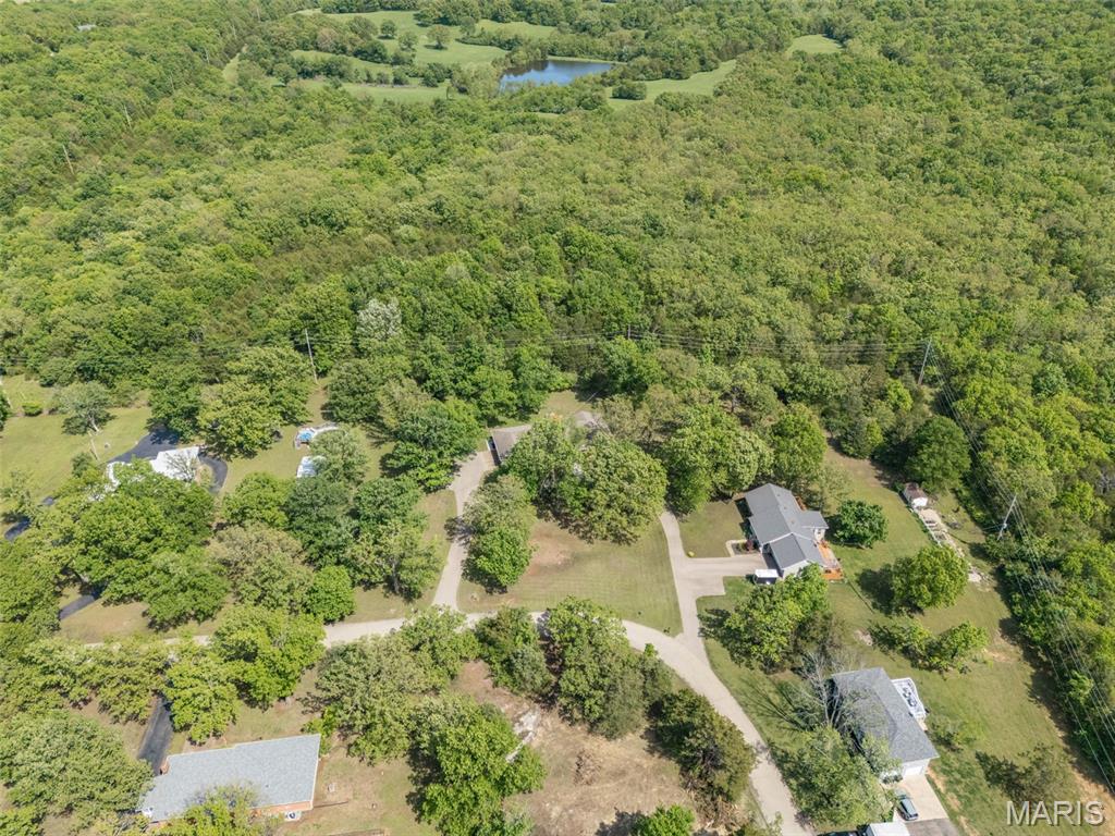 842 Ridgeview Lane Bonne Terre, MO 63628 - Photo 17 of 57