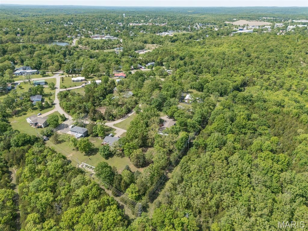 842 Ridgeview Lane Bonne Terre, MO 63628 - Photo 19 of 57