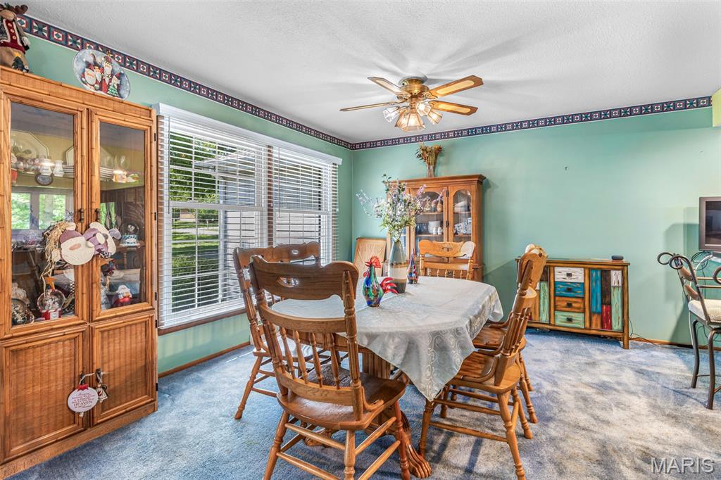 842 Ridgeview Lane Bonne Terre, MO 63628 - Photo 30 of 57