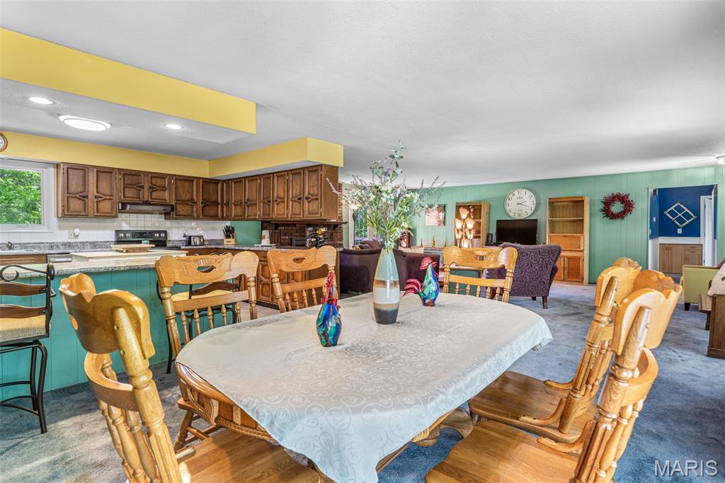 842 Ridgeview Lane Bonne Terre, MO 63628 - Photo 31 of 57