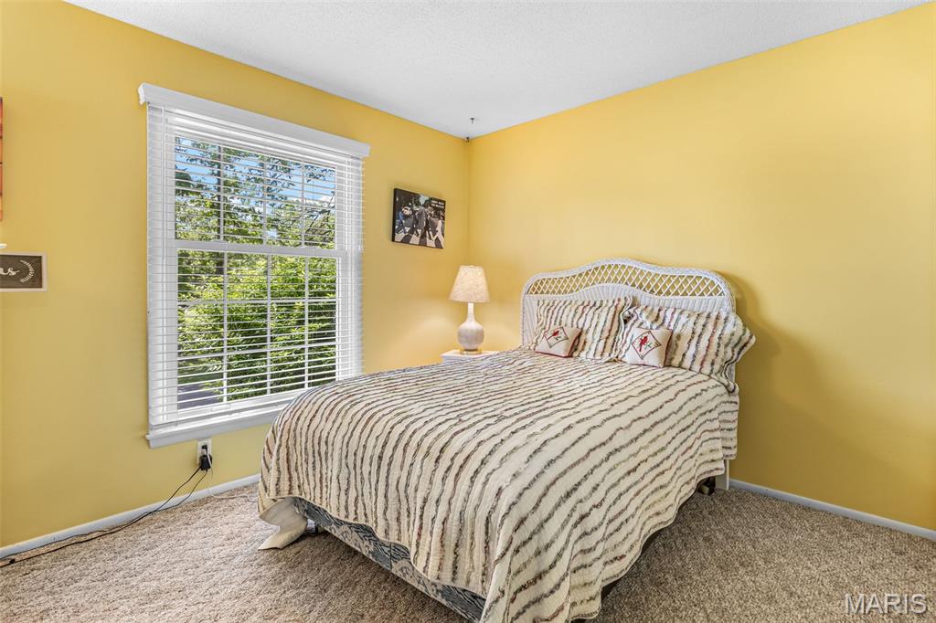 842 Ridgeview Lane Bonne Terre, MO 63628 - Photo 43 of 57