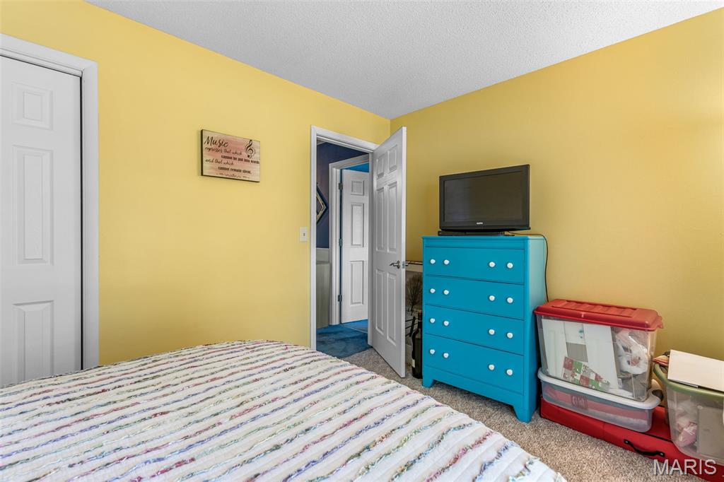 842 Ridgeview Lane Bonne Terre, MO 63628 - Photo 44 of 57
