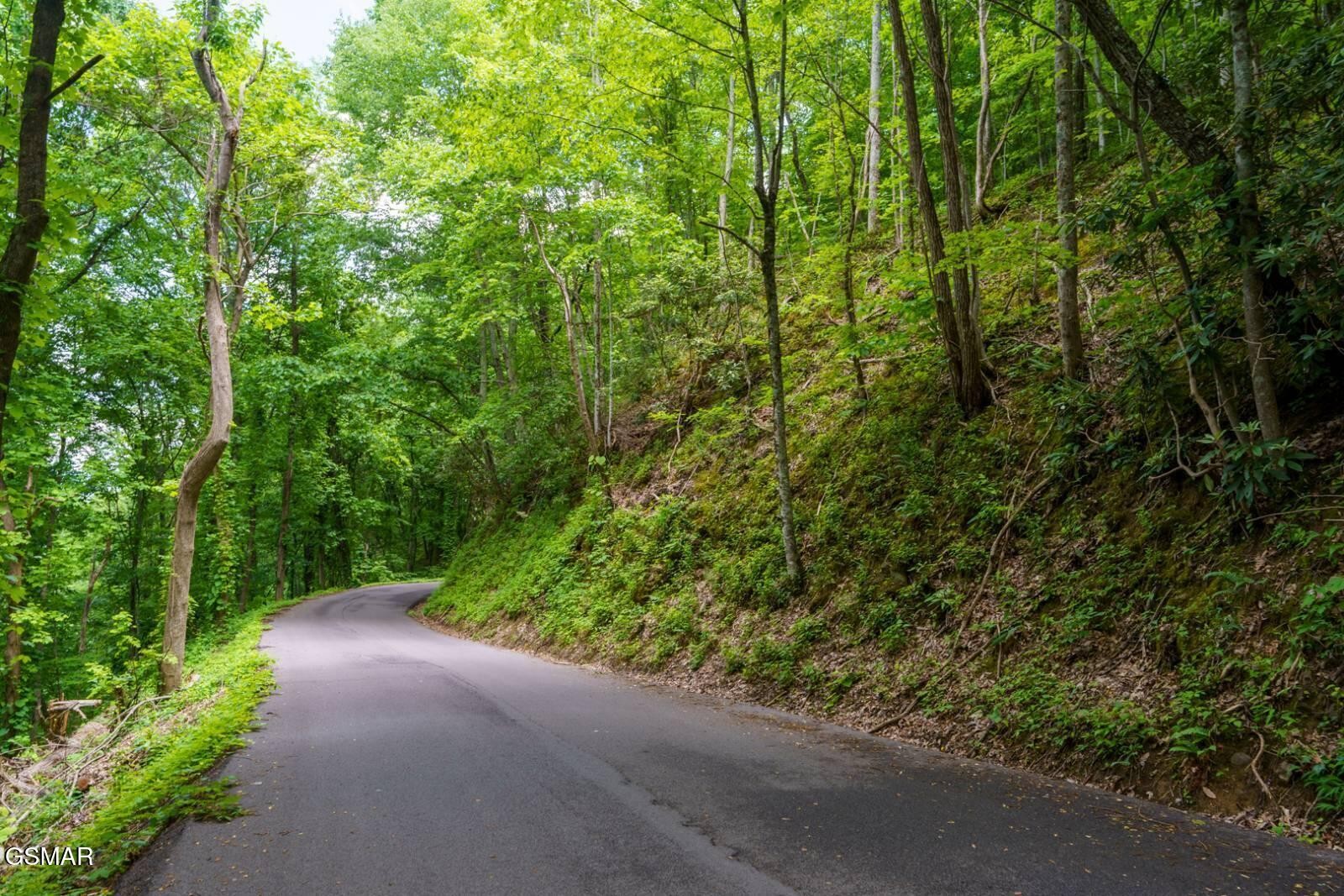11 Zurich Road Gatlinburg, TN 37738 - Photo 2 of 14