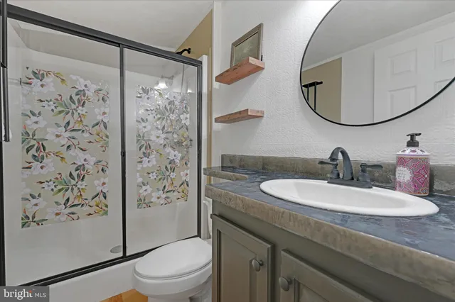 a bathroom with a sink a toilet and a mirror