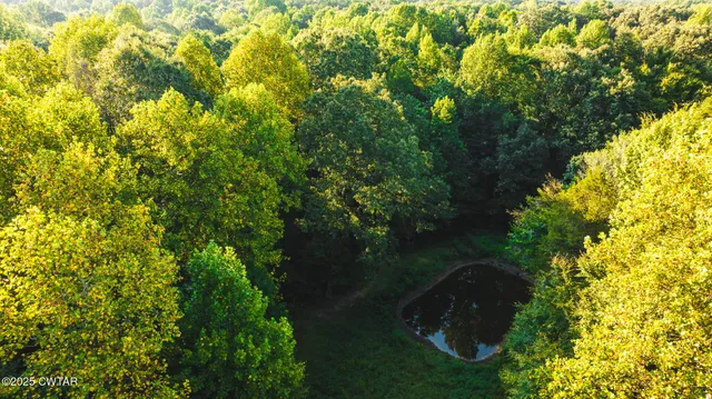 a view of a lush green forest with houses
