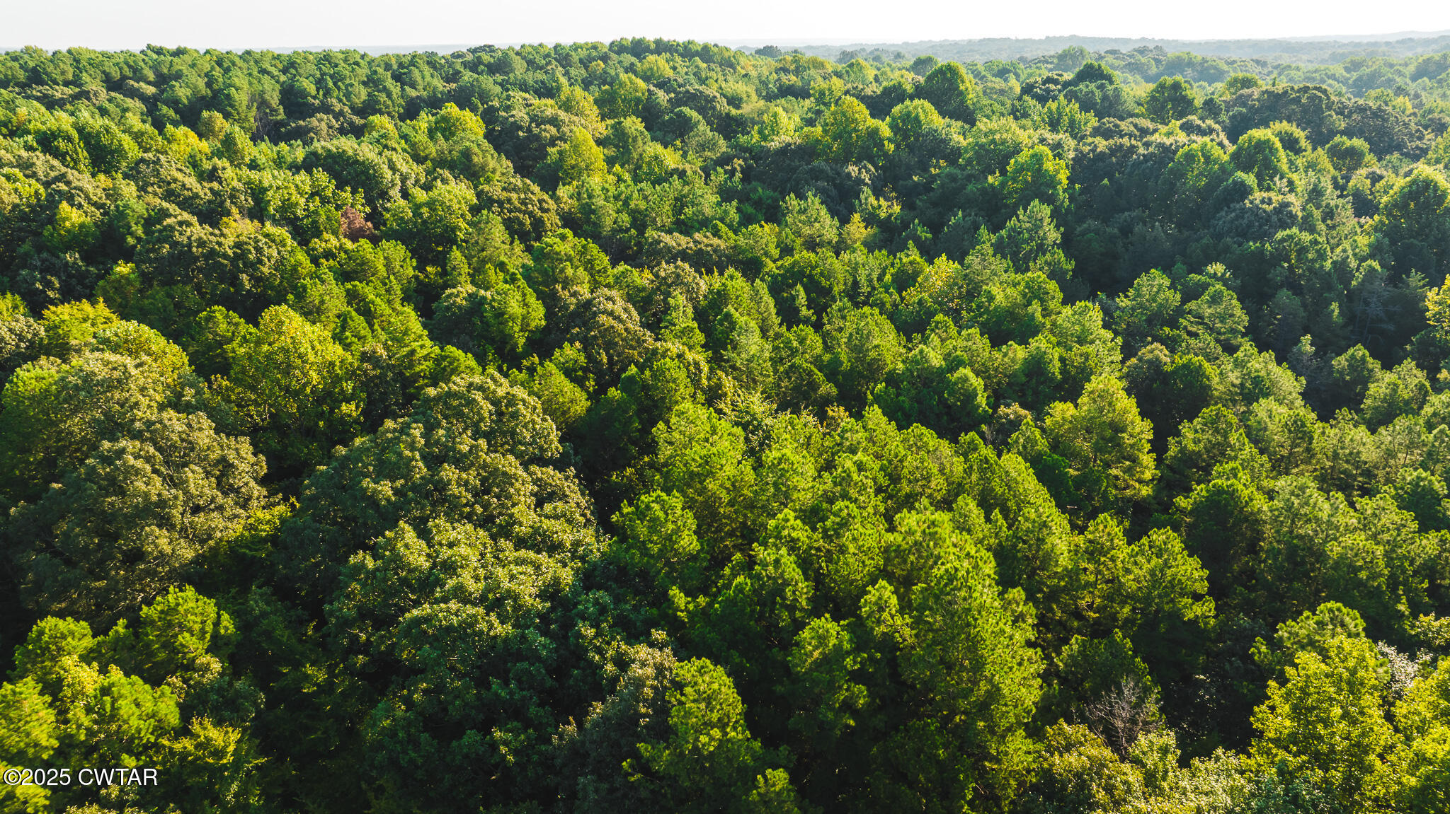 500 Ross Road McKenzie, TN 38201 - Photo 13 of 21 DJI_20250819080332_0020_D
