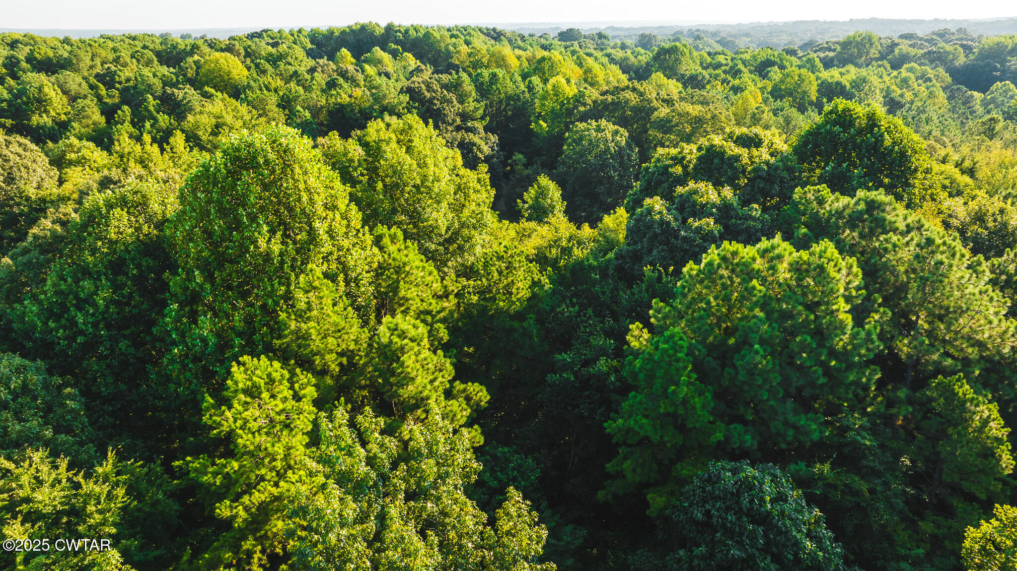 500 Ross Road McKenzie, TN 38201 - Photo 14 of 21 DJI_20250819080404_0022_D