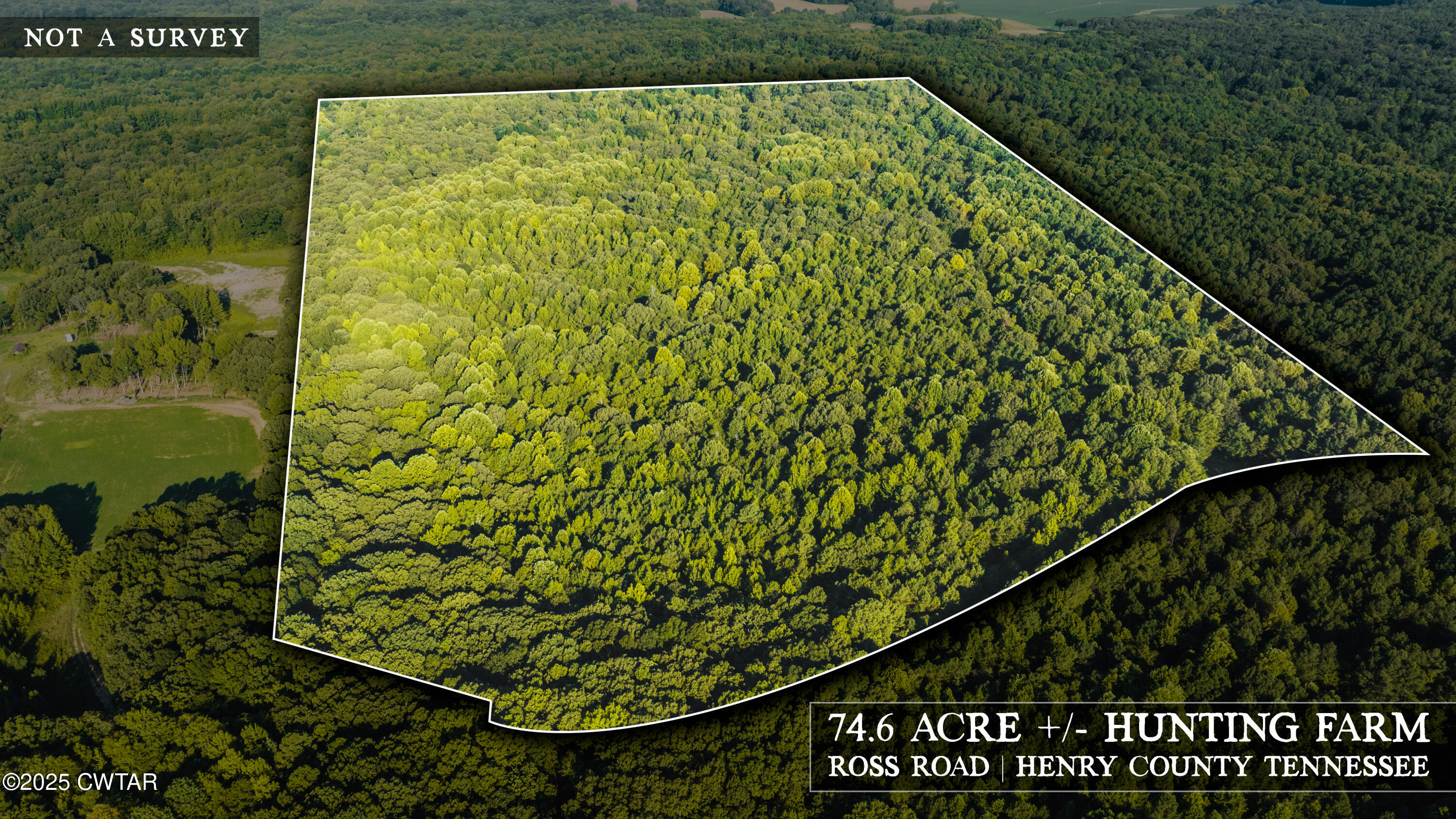 500 Ross Road McKenzie, TN 38201 - Photo 17 of 21 DJI_20250819080754_0030_D-2