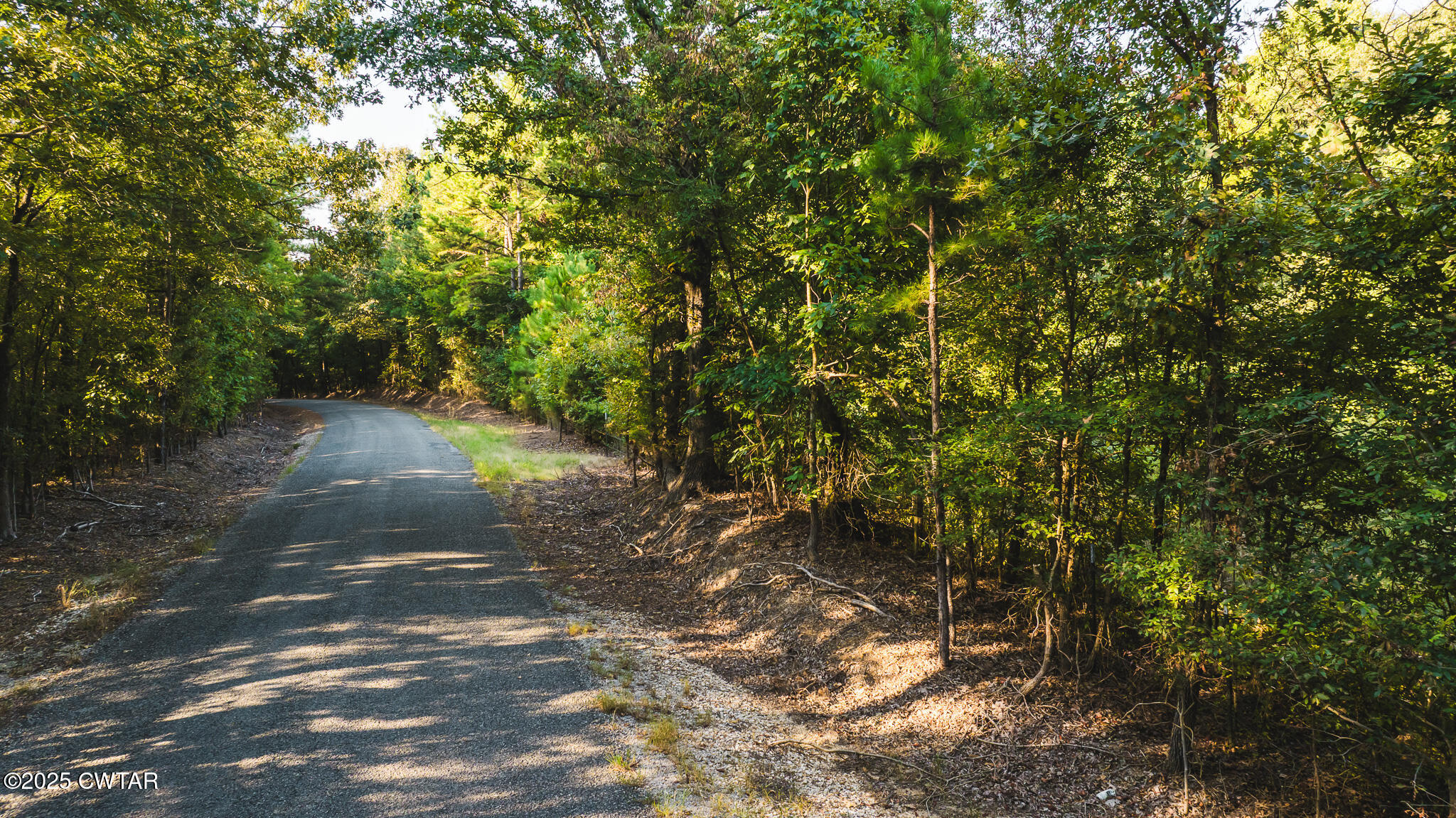 500 Ross Road McKenzie, TN 38201 - Photo 18 of 21 DJI_20250819081144_0033_D