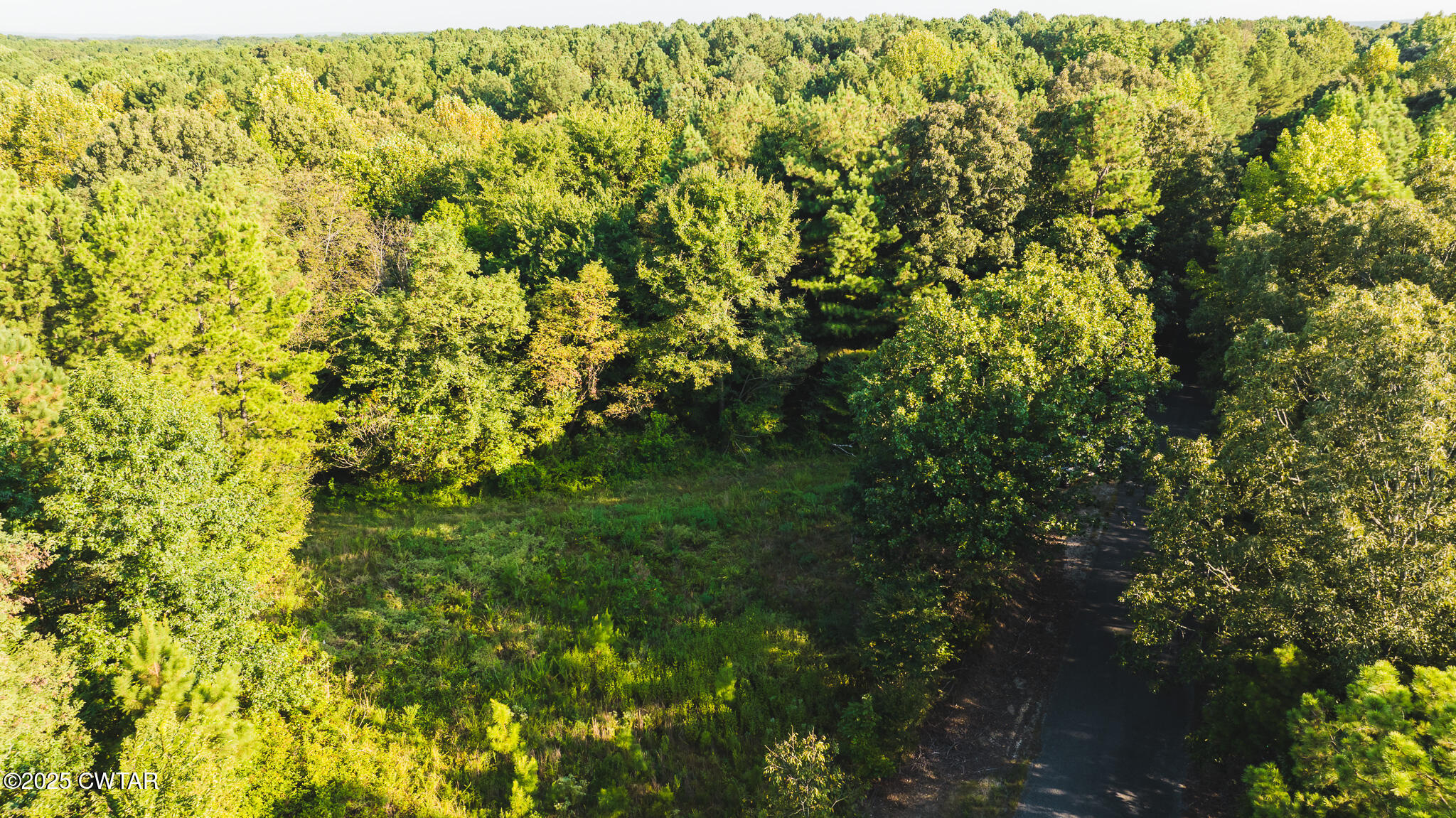 500 Ross Road McKenzie, TN 38201 - Photo 21 of 21 DJI_20250819081353_0037_D