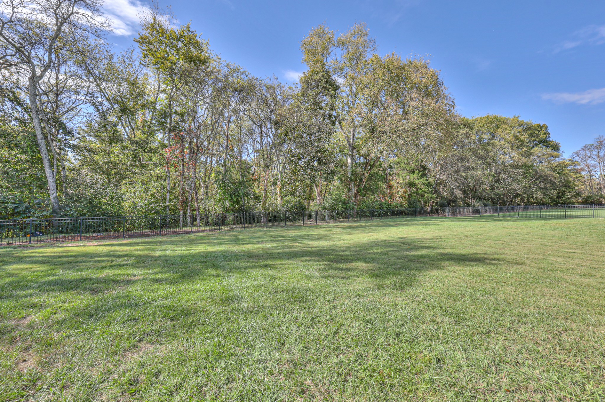 8019 Burning Tree Farms Road Arrington, TN 37014 - Photo 41 of 47 a view of a field of grass and trees