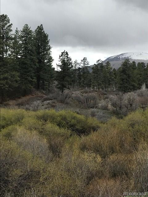 207 County Road Durango, CO 81301 - Photo 22 of 25