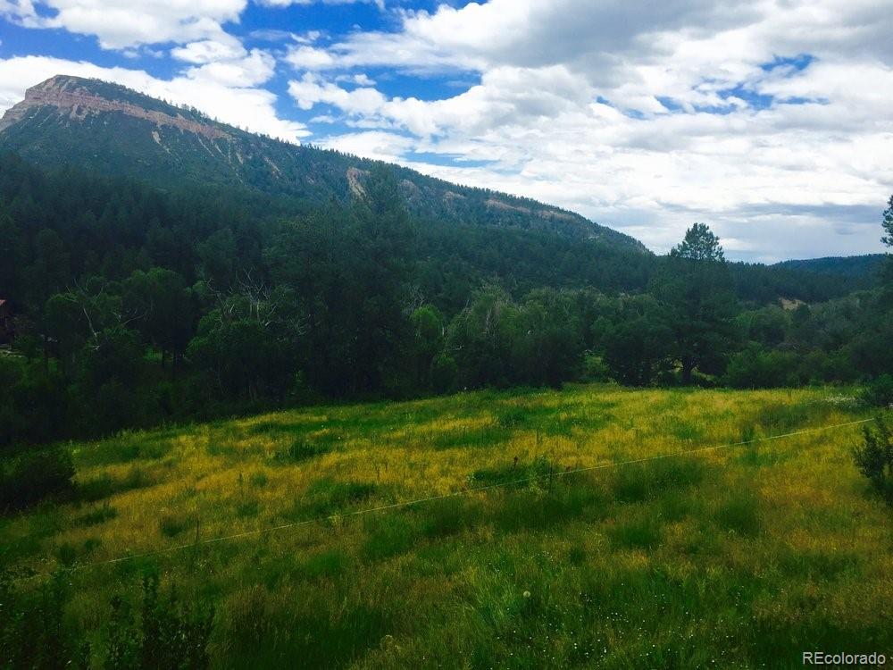 207 County Road Durango, CO 81301 - Photo 3 of 25