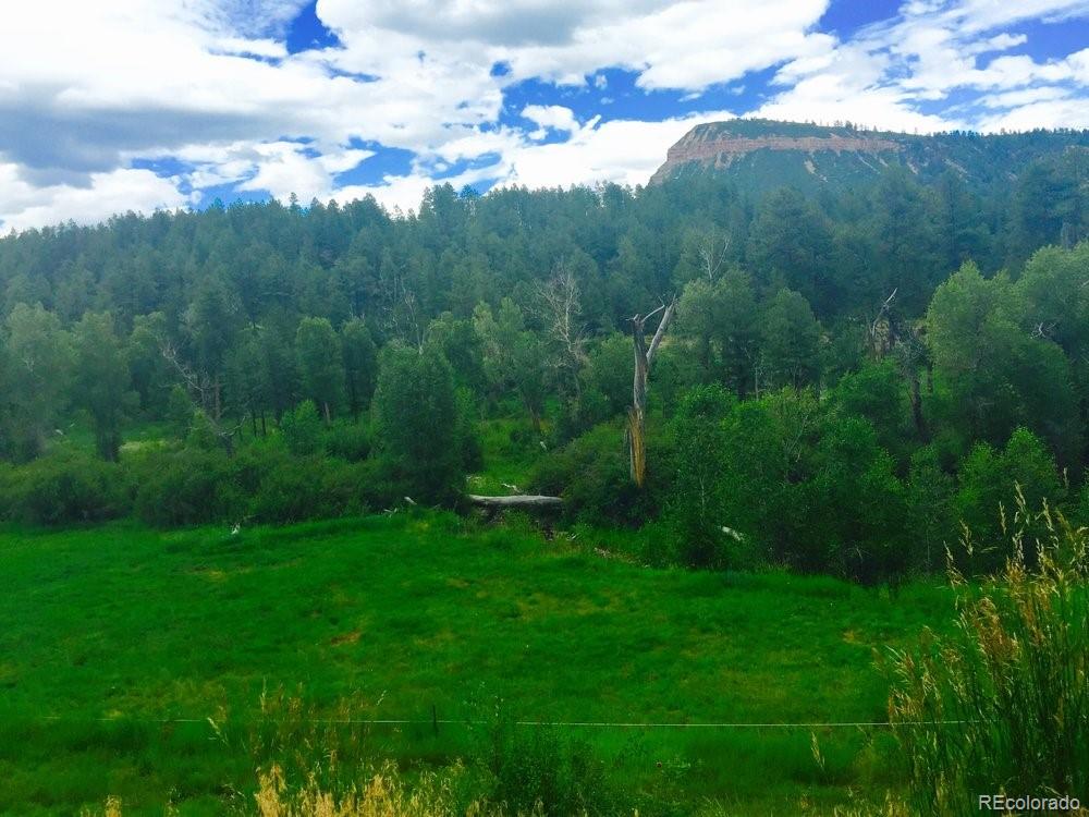 207 County Road Durango, CO 81301 - Photo 4 of 25